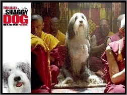 modły, buddyzm, pies, The Shaggy Dog, Azjaci